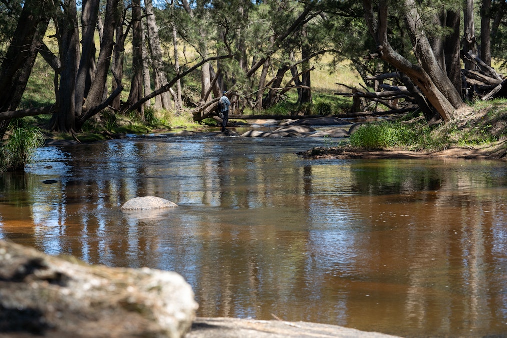 1887 Hazelgrove Road, Tarana, NSW, 2787 - Image 8