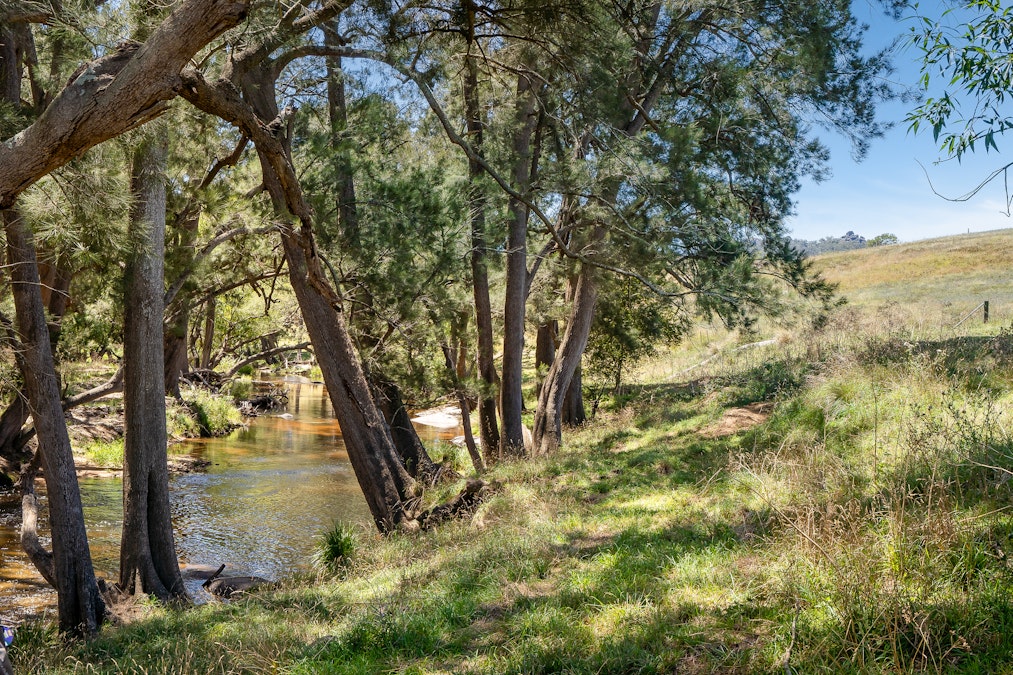 1887 Hazelgrove Road, Tarana, NSW, 2787 - Image 9