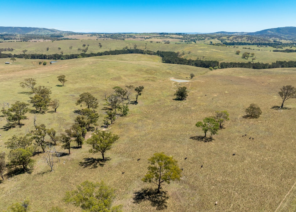 1887 Hazelgrove Road, Tarana, NSW, 2787 - Image 17