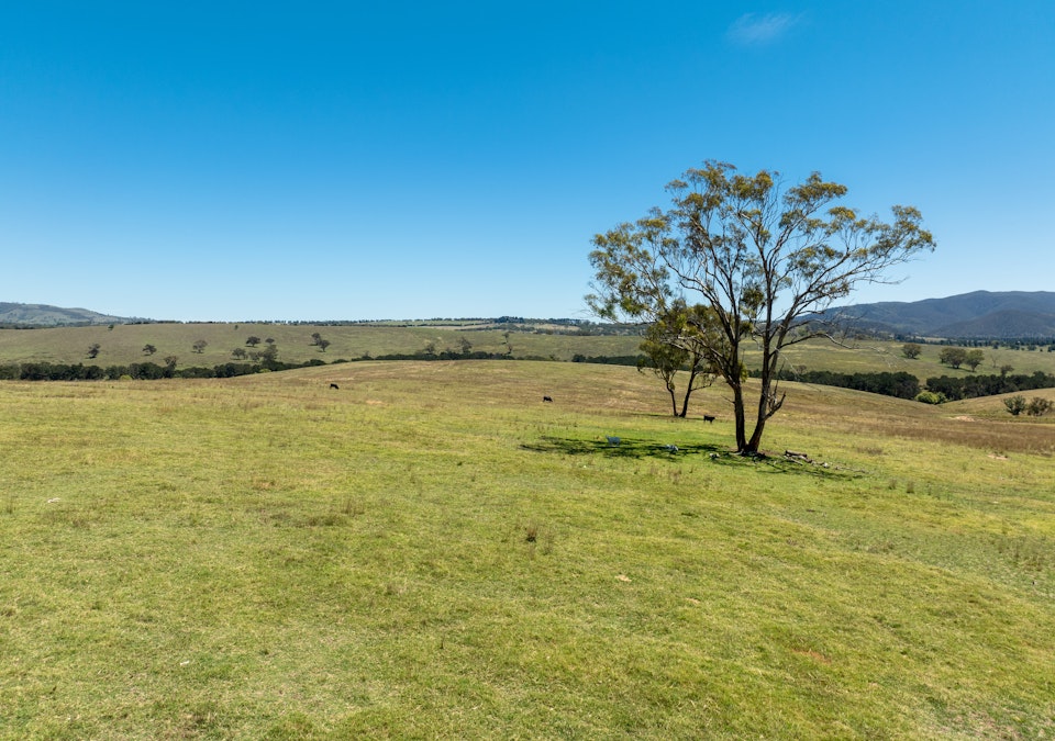 1887 Hazelgrove Road, Tarana, NSW, 2787 - Image 18