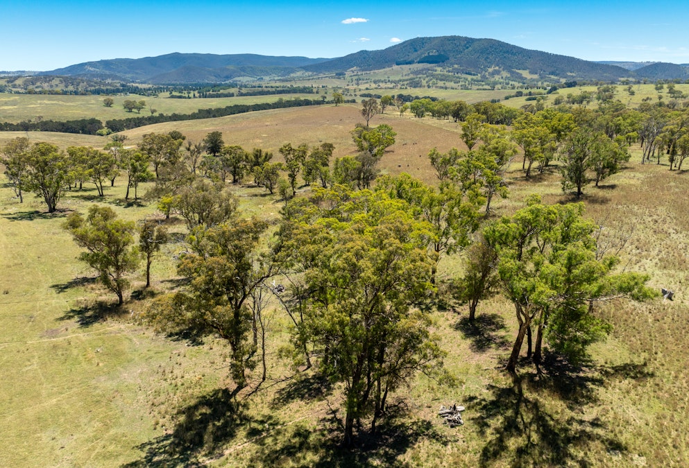 1887 Hazelgrove Road, Tarana, NSW, 2787 - Image 2