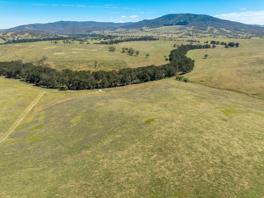 1887 Hazelgrove Road, Tarana, NSW, 2787 - Image 3