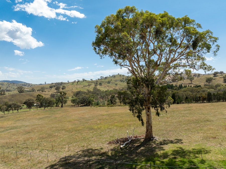 'Gully Run' 487 Mount Mcdonald Road, Wyangala, NSW, 2808 - Image 3