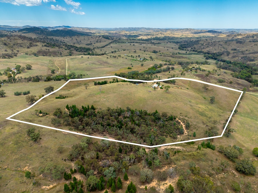 'Gully Run' 487 Mount Mcdonald Road, Wyangala, NSW, 2808 - Image 15