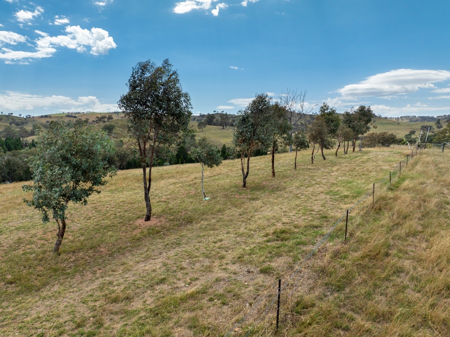 'Gully Run' 487 Mount Mcdonald Road, Wyangala, NSW, 2808 - Image 17