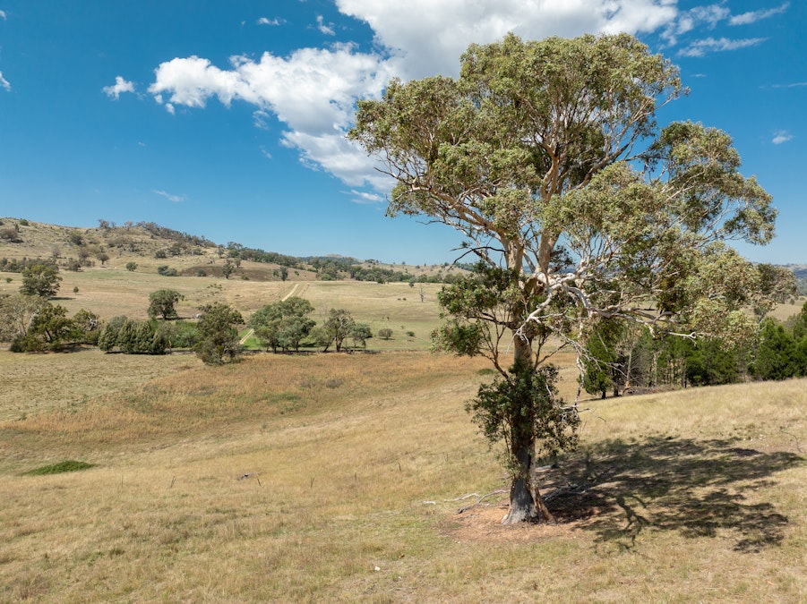 'Gully Run' 487 Mount Mcdonald Road, Wyangala, NSW, 2808 - Image 18