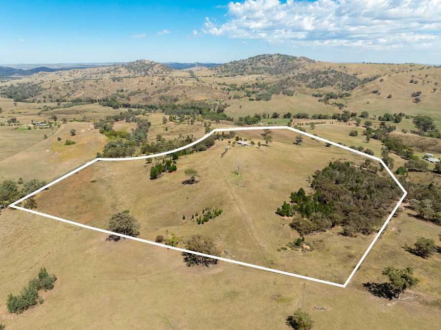 'Gully Run' 487 Mount Mcdonald Road, Wyangala, NSW, 2808 - Image 20