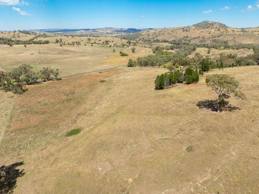 'Gully Run' 487 Mount Mcdonald Road, Wyangala, NSW, 2808 - Image 22