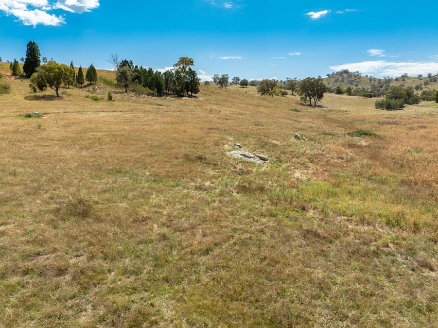 'Gully Run' 487 Mount Mcdonald Road, Wyangala, NSW, 2808 - Image 23