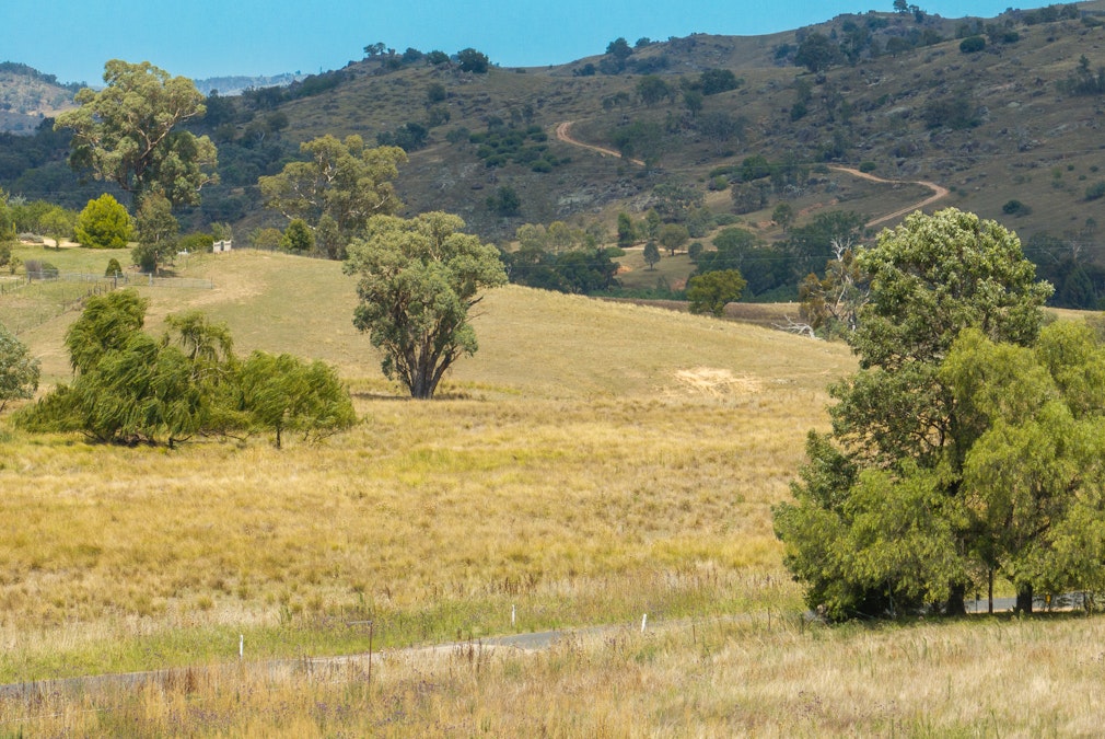 'Gully Run' 487 Mount Mcdonald Road, Wyangala, NSW, 2808 - Image 24