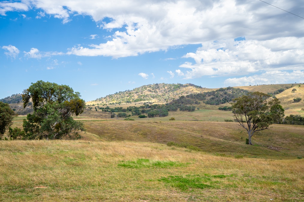 'Gully Run' 487 Mount Mcdonald Road, Wyangala, NSW, 2808 - Image 25