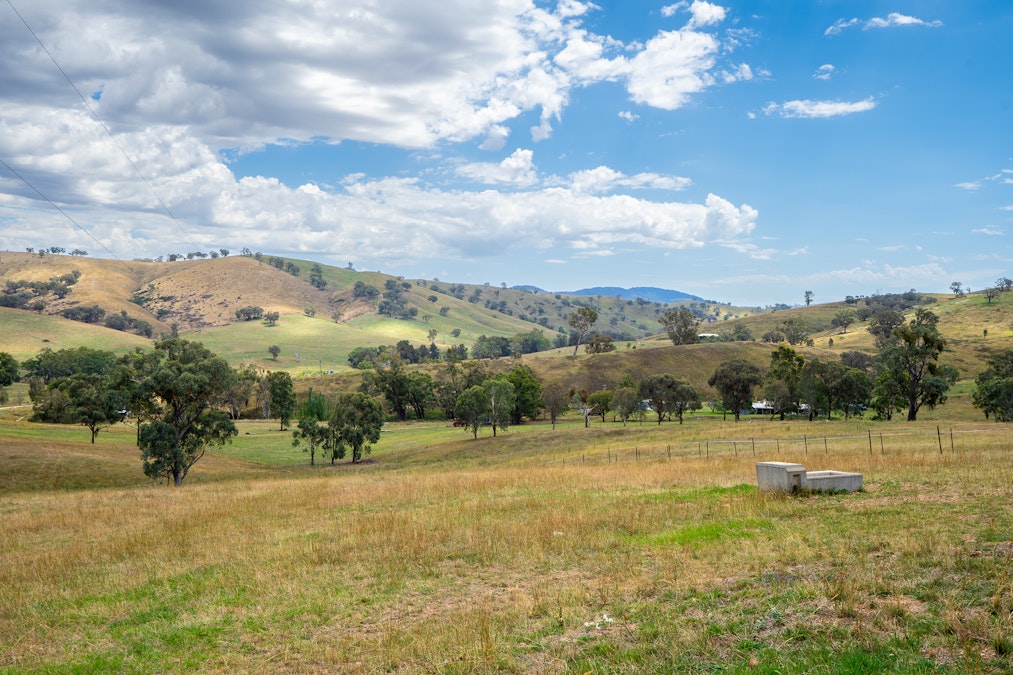 'Gully Run' 487 Mount Mcdonald Road, Wyangala, NSW, 2808 - Image 26