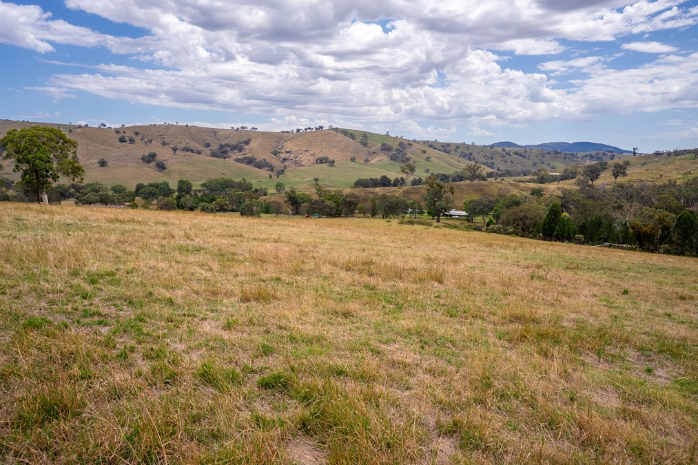 'Gully Run' 487 Mount Mcdonald Road, Wyangala, NSW, 2808 - Image 27