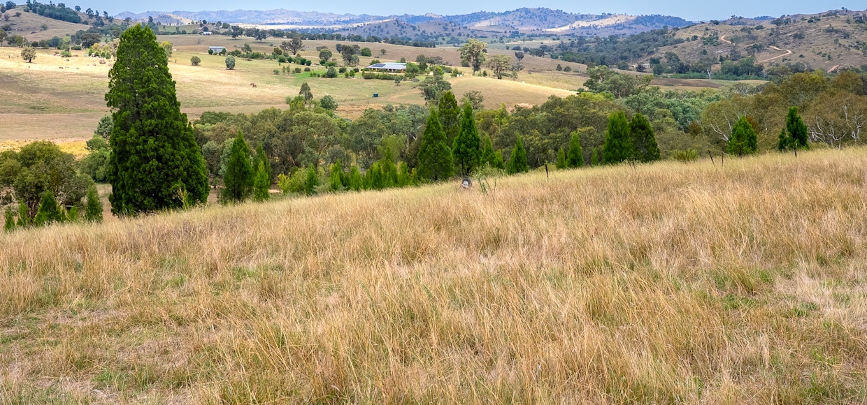 'Gully Run' 487 Mount Mcdonald Road, Wyangala, NSW, 2808 - Image 28