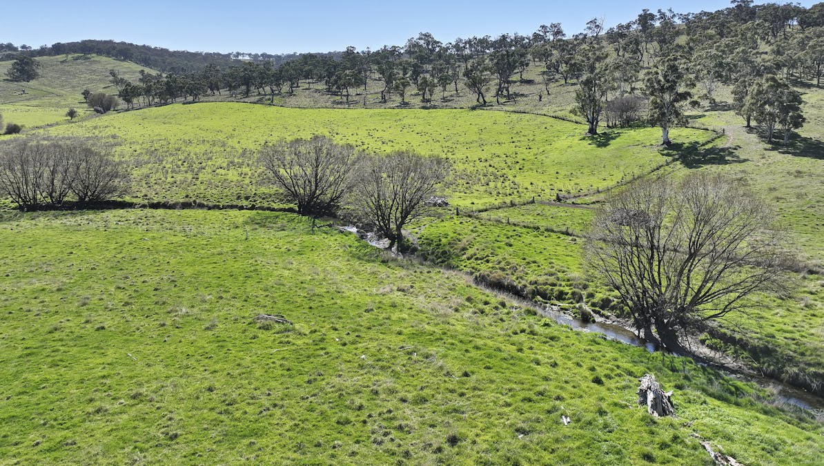 36 Phantom Street, Rockley, NSW, 2795 - Image 3