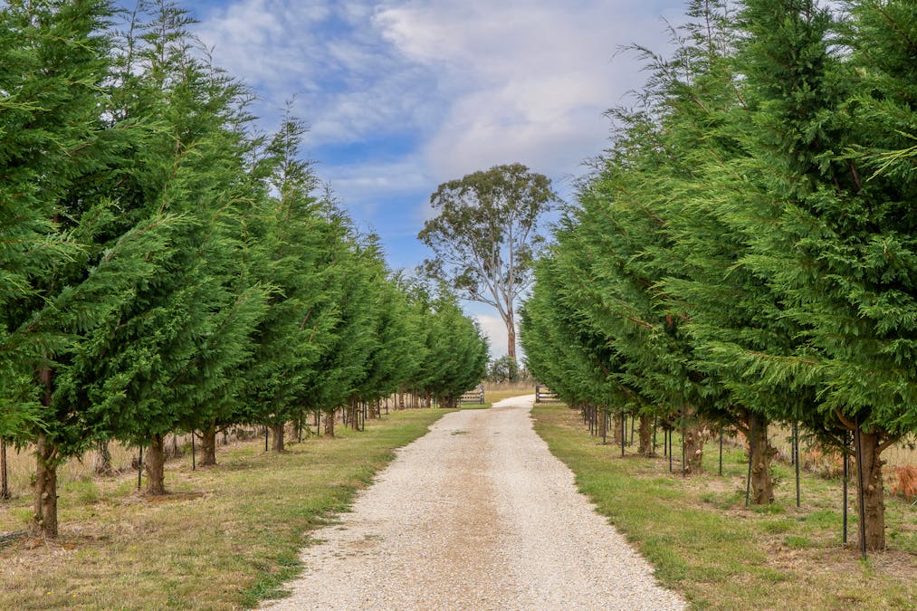 736 Duckmaloi Road, Oberon, NSW, 2787 - Image 5