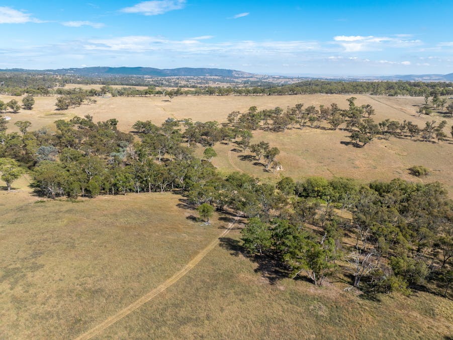 334 Mount Olive Road, Mount Olive, NSW, 2787 - Image 1