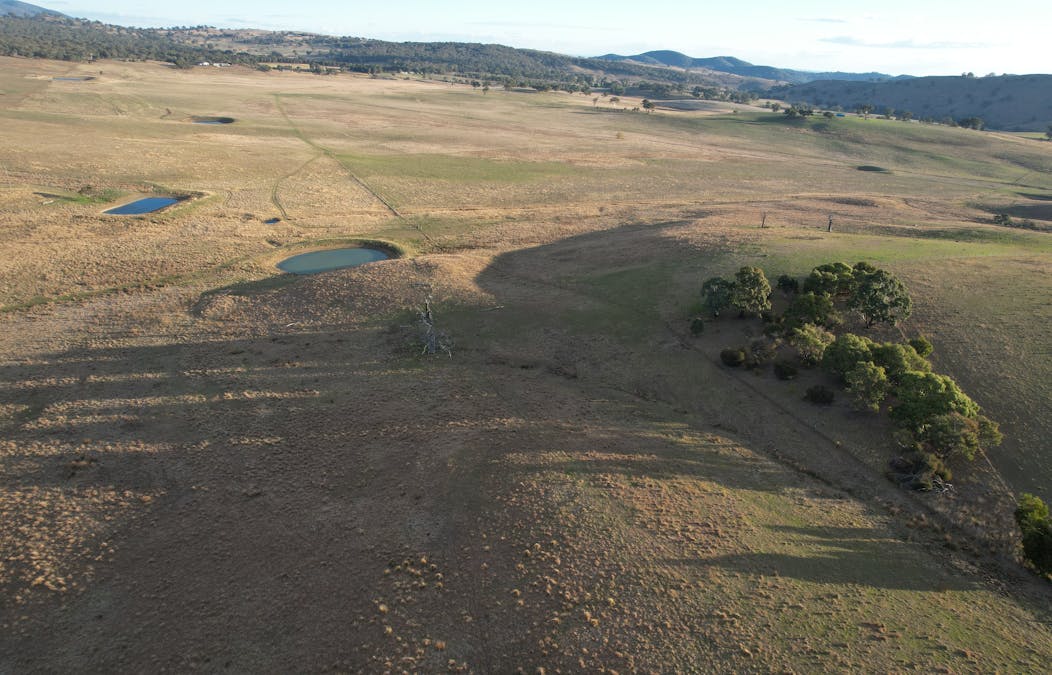 2656 Limekilns Road, Limekilns, NSW, 2795 - Image 8