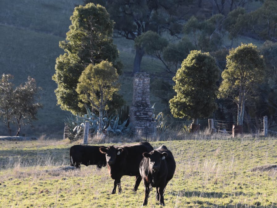 394 Range Hills Road, Bathurst, NSW, 2795 - Image 1