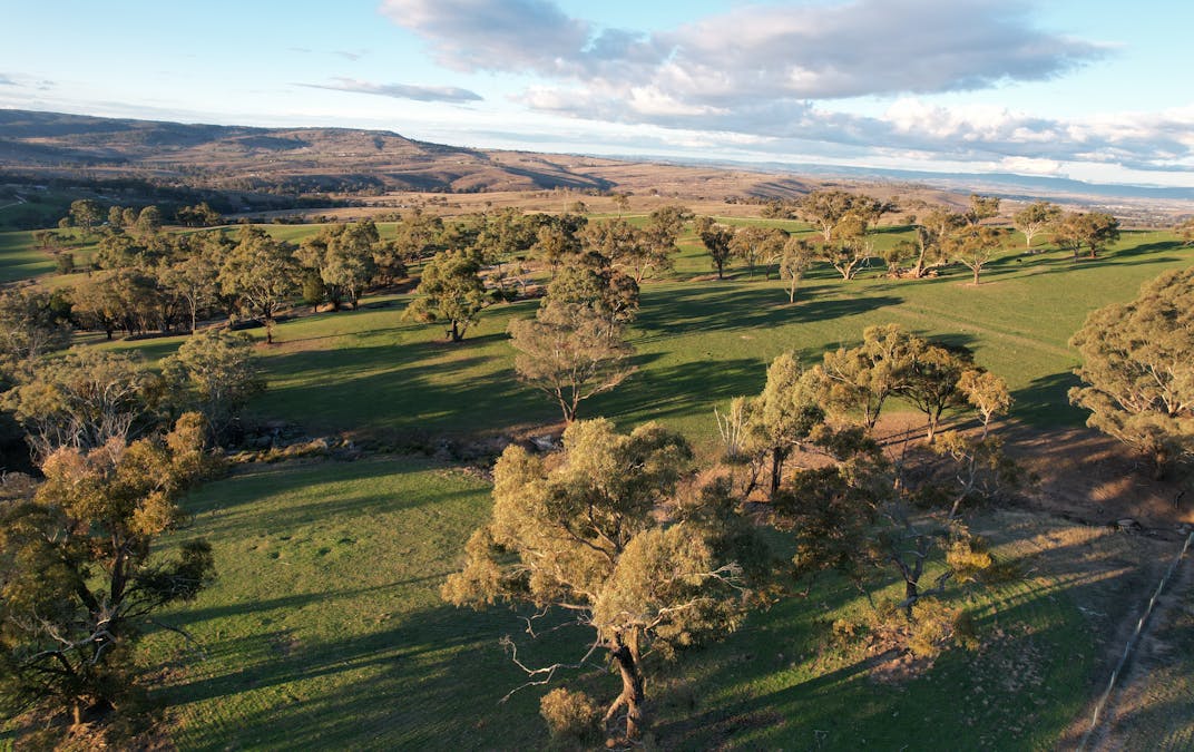 394 Range Hills Road, Bathurst, NSW, 2795 - Image 3