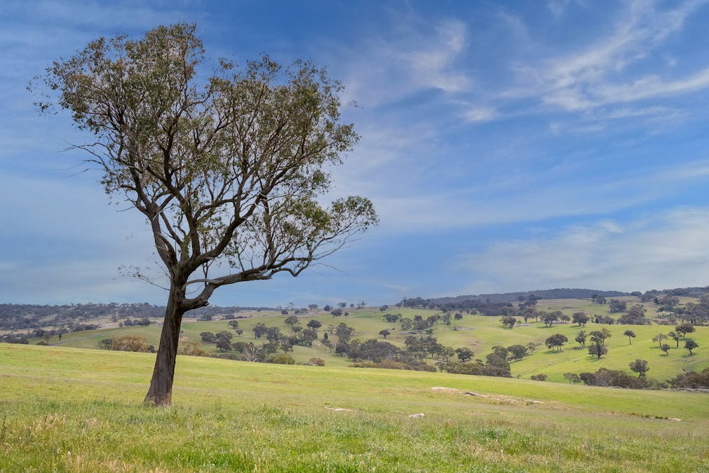 394 Range Hills Road, Bathurst, NSW, 2795 - Image 9