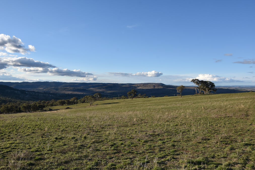 394 Range Hills Road, Bathurst, NSW, 2795 - Image 14