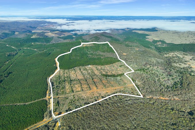 3653 Arkstone Road, Burraga, NSW, 2795 - Image 1