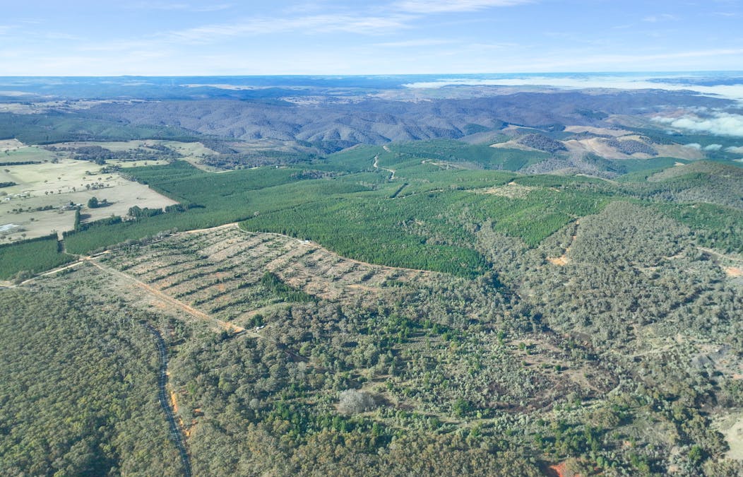 3653 Arkstone Road, Burraga, NSW, 2795 - Image 5