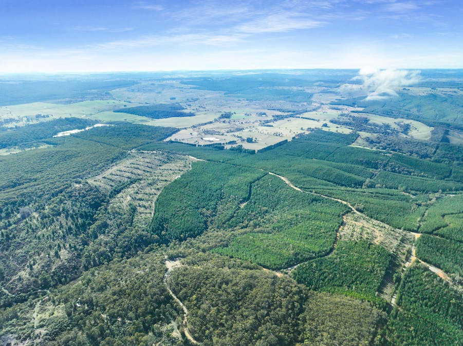 3653 Arkstone Road, Burraga, NSW, 2795 - Image 7