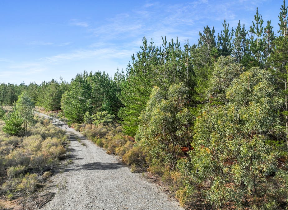 3653 Arkstone Road, Burraga, NSW, 2795 - Image 8