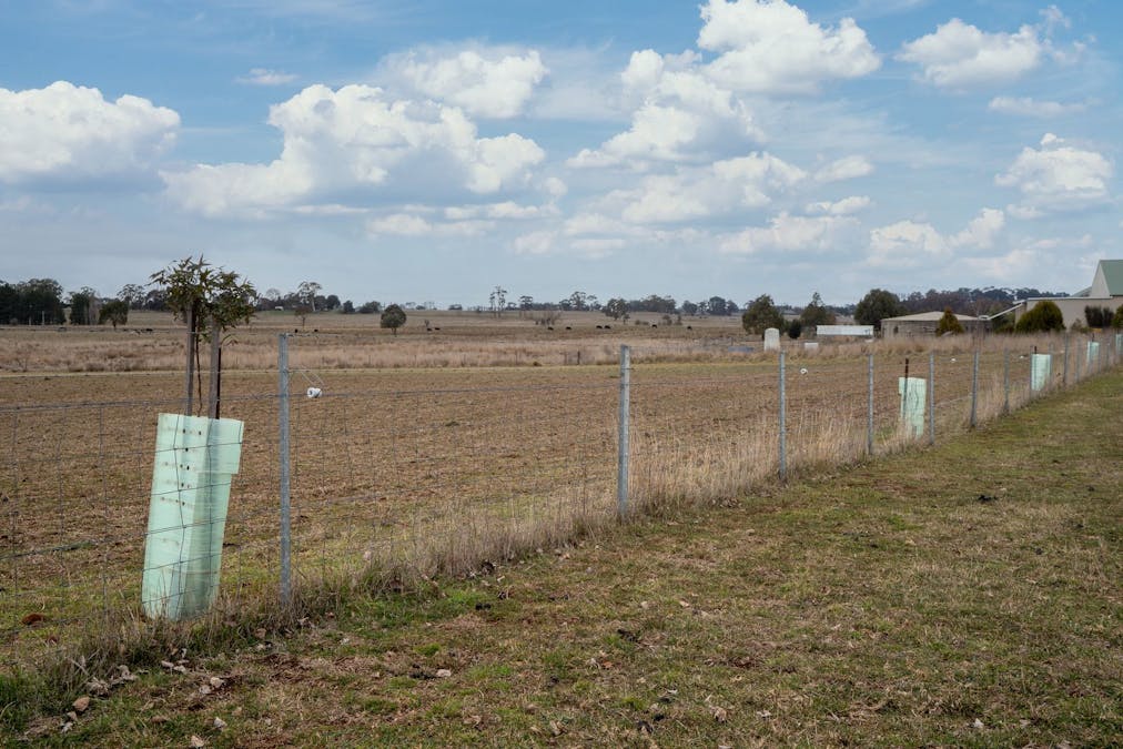 49 Eves Lane, Millthorpe, NSW, 2798 - Image 12