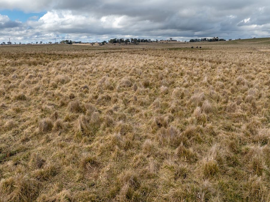 49 Eves Lane, Millthorpe, NSW, 2798 - Image 19
