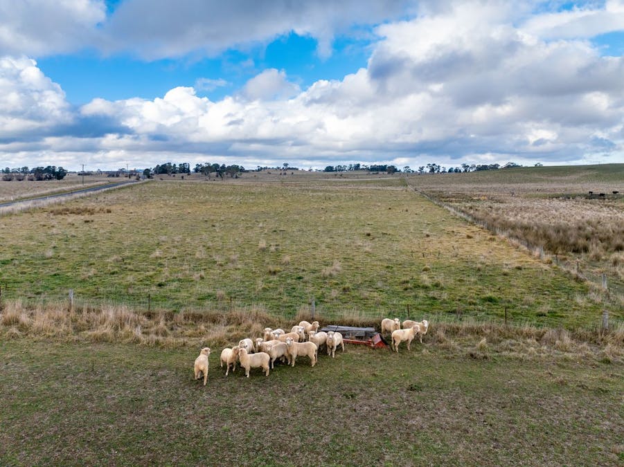 49 Eves Lane, Millthorpe, NSW, 2798 - Image 18