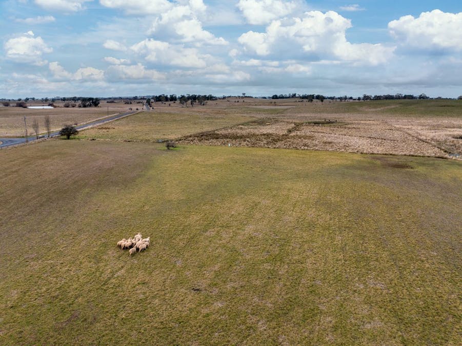 49 Eves Lane, Millthorpe, NSW, 2798 - Image 2