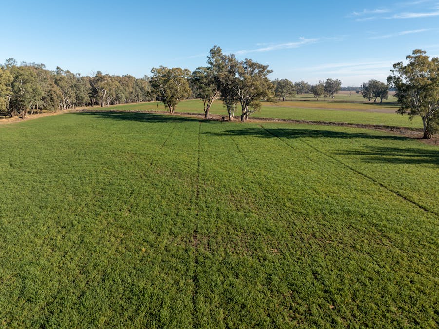 2594 Bedgerabong Road, Forbes, NSW, 2871 - Image 7