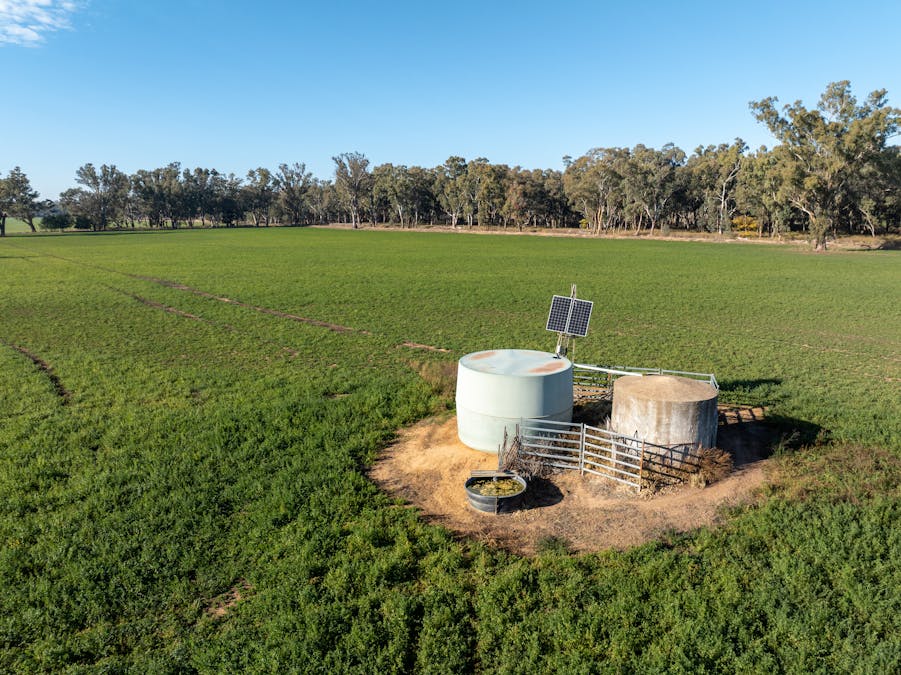 2594 Bedgerabong Road, Forbes, NSW, 2871 - Image 5
