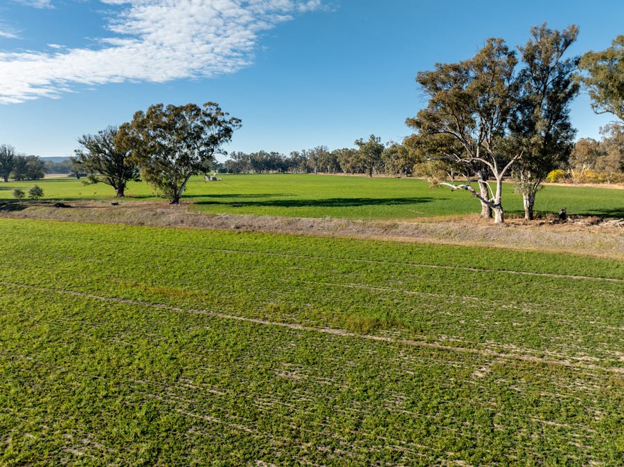 2594 Bedgerabong Road, Forbes, NSW, 2871 - Image 21