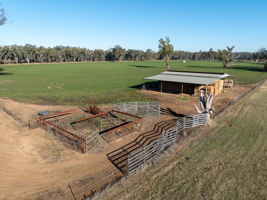 2594 Bedgerabong Road, Forbes, NSW, 2871 - Image 8