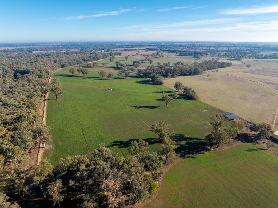2594 Bedgerabong Road, Forbes, NSW, 2871 - Image 18