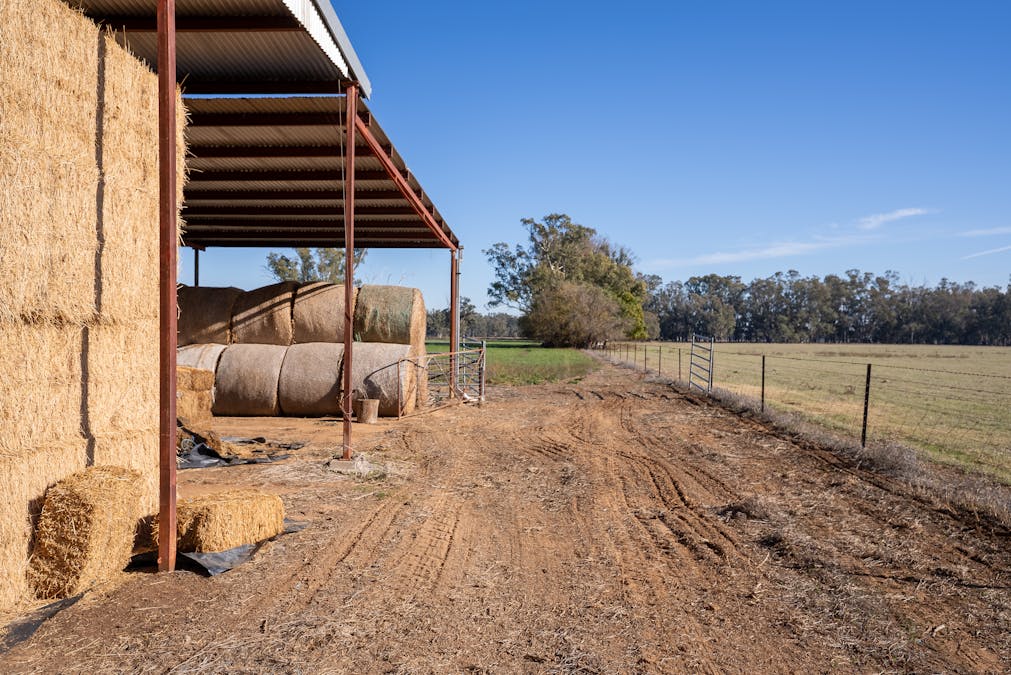 2594 Bedgerabong Road, Forbes, NSW, 2871 - Image 14