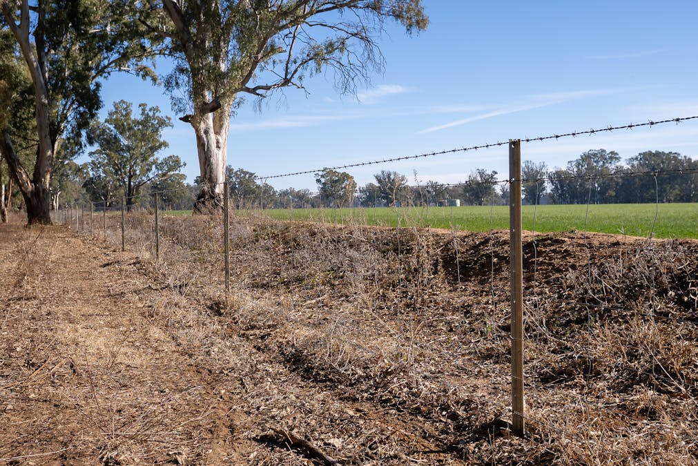 2594 Bedgerabong Road, Forbes, NSW, 2871 - Image 15