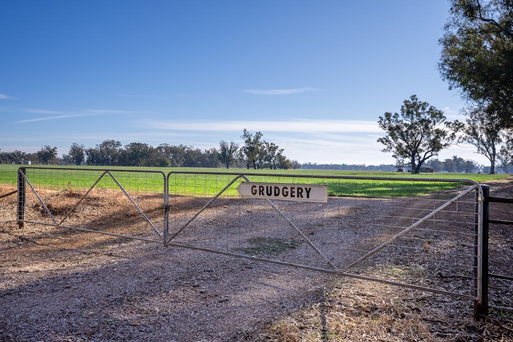 2594 Bedgerabong Road, Forbes, NSW, 2871 - Image 2