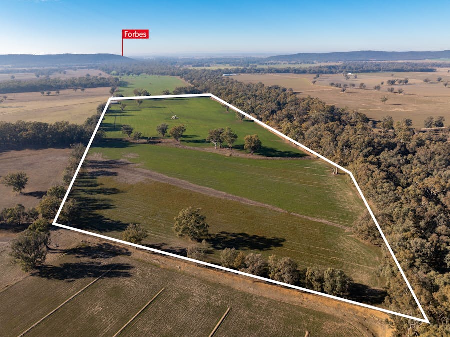 2594 Bedgerabong Road, Forbes, NSW, 2871 - Image 19
