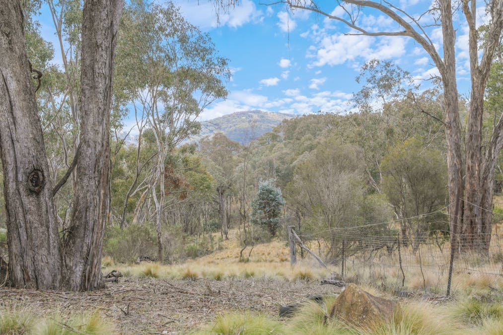 313 Pine Ridge Road, Rock Forest, NSW, 2795 - Image 5