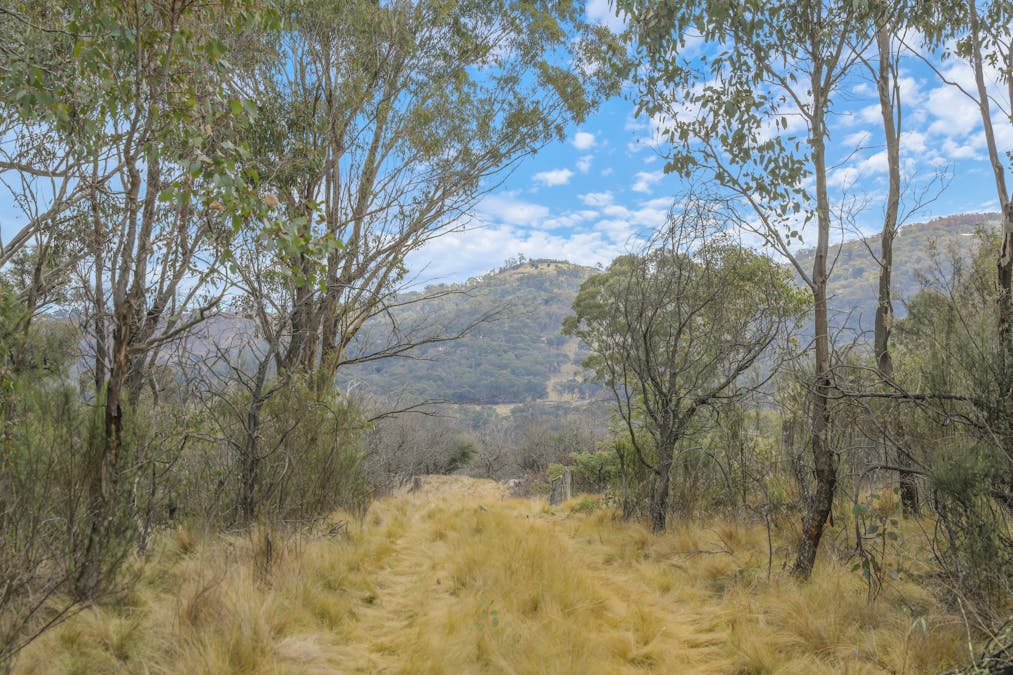 313 Pine Ridge Road, Rock Forest, NSW, 2795 - Image 2