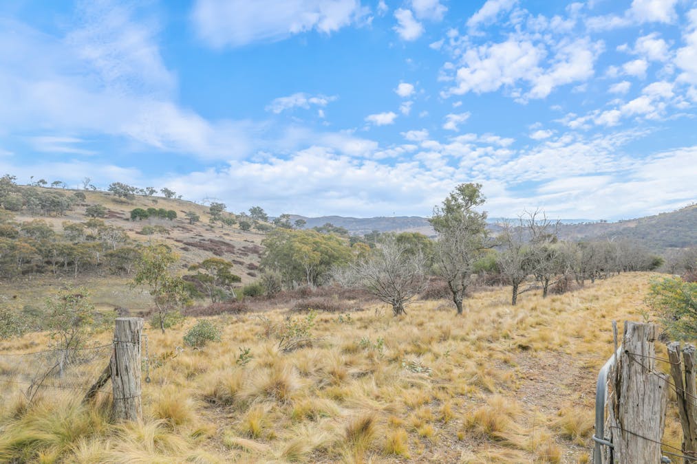 313 Pine Ridge Road, Rock Forest, NSW, 2795 - Image 9