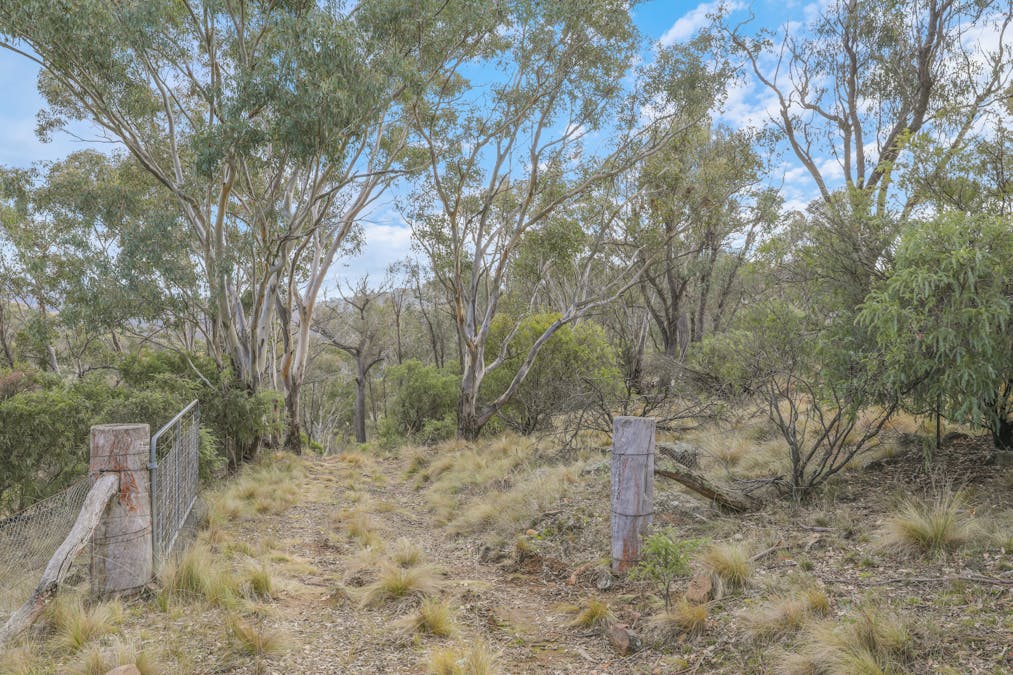 313 Pine Ridge Road, Rock Forest, NSW, 2795 - Image 6