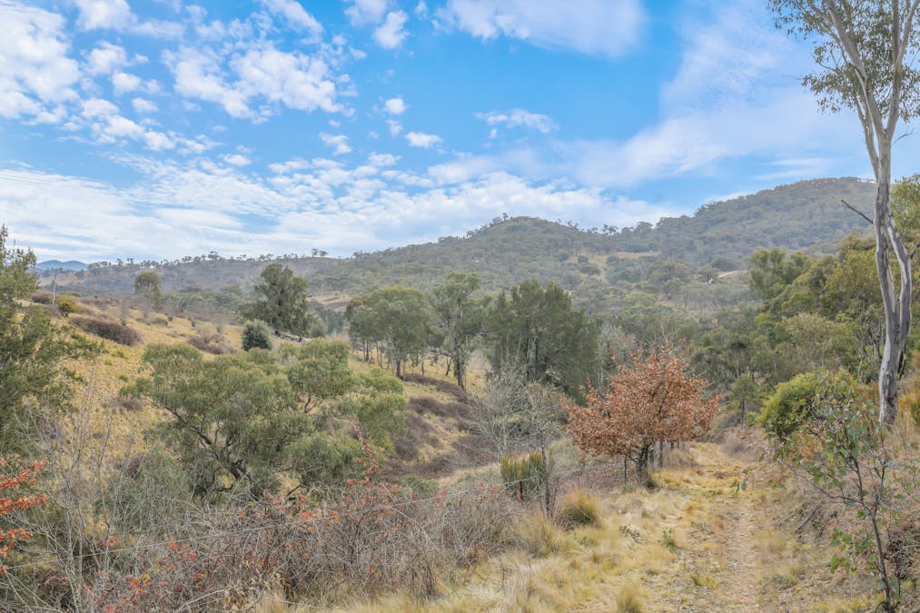 313 Pine Ridge Road, Rock Forest, NSW, 2795 - Image 8