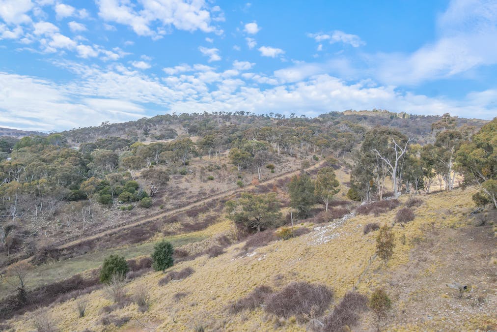 313 Pine Ridge Road, Rock Forest, NSW, 2795 - Image 18