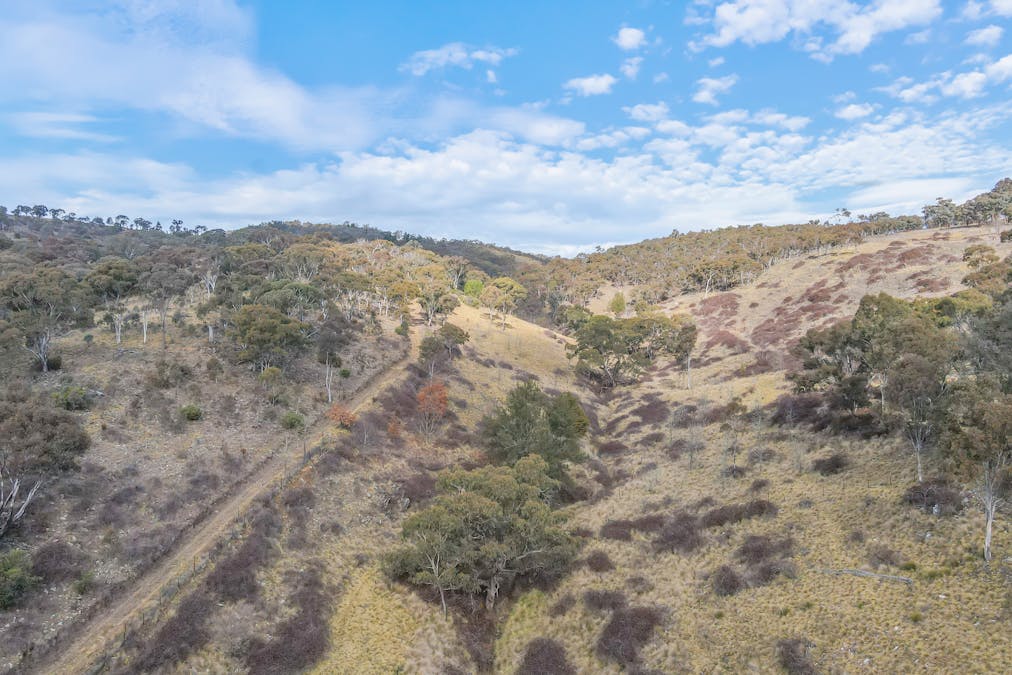 313 Pine Ridge Road, Rock Forest, NSW, 2795 - Image 19